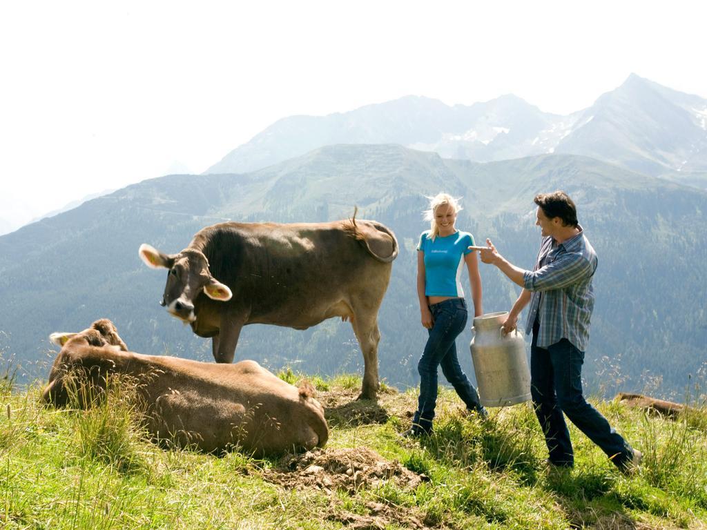 Gasthof Pension Madseiterhof Tux Ngoại thất bức ảnh